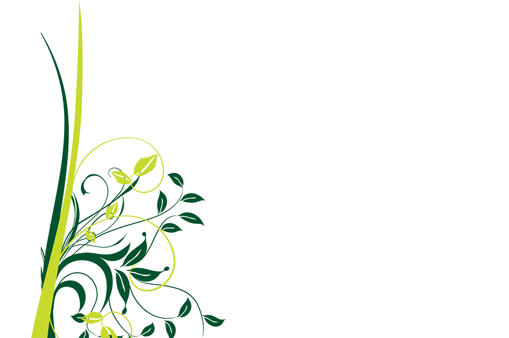 Logo-Au-jardin-d'amélie