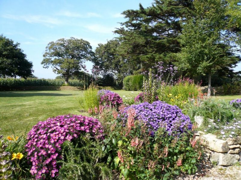 beau jardin - Entretien d'espaces verts quiberon