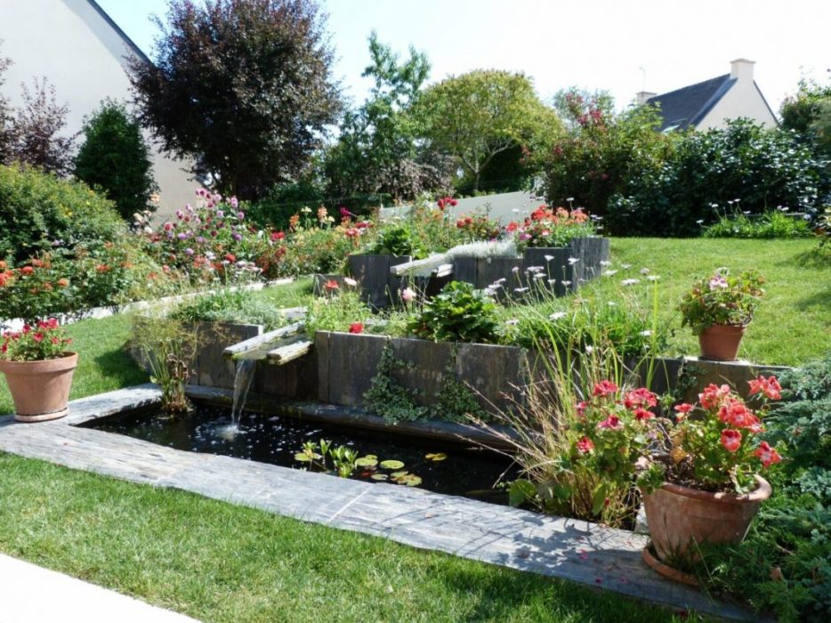 bassin naturel et plantes décoratives - Entretien d'espaces verts quiberon