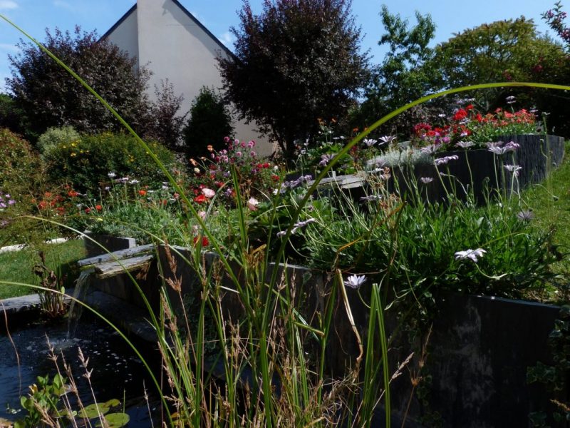 plantes originales colorées - Entretien d'espaces verts quiberon