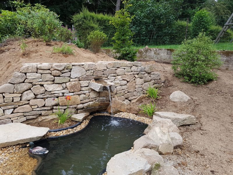 bassin naturel - Création d'aménagements extérieurs auray